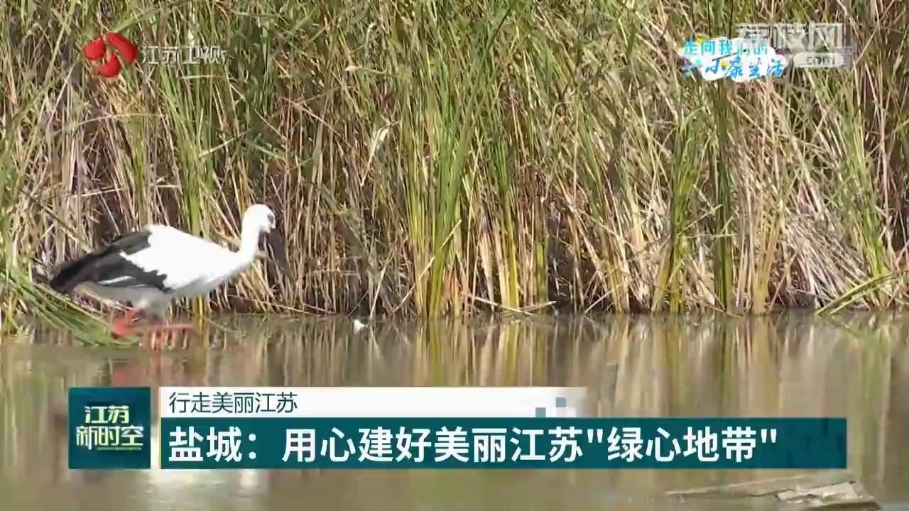 江苏光芒智能科技招聘，引领未来科技的智能先锋