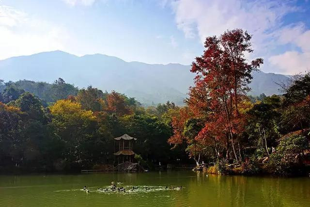 广东省秋天旅游景点推荐，秋色里的南国风情