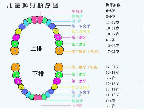 宝宝5个月长牙，成长的新里程碑与护理指南