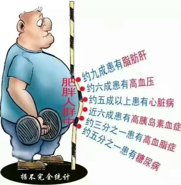 一个月瘦20斤，我的亲身经历与心得