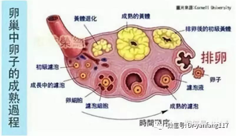 七个月在家自然流产了，一段心路历程的回顾与反思